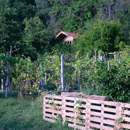 The House In The Village