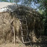 The House In The Village