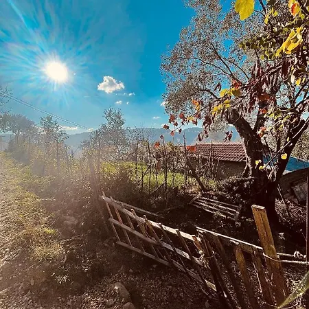 The House In The Village בית הארחה *
