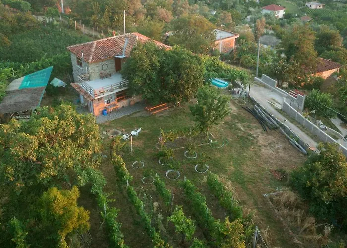 The House In The Village 招待所 *